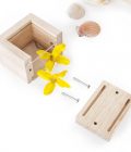 Bloques de madera para tesoros (transparentes) - Imagen 3