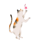 Cat Café - Imagen 4