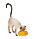 Cat Café - Imagen 5