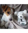Kit perrito con transportin y accesorios Jabadabado - Imagen 4