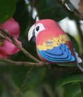 Eugy Loro - Imagen 4