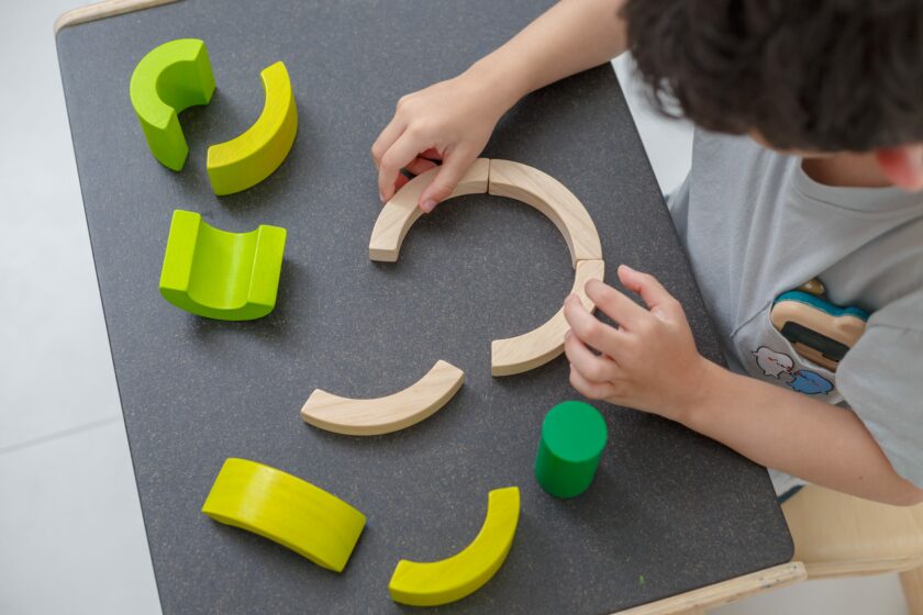5382 PlanToys CURVE BLOCKS Learning and Education Mathematical Logical Problem Solving Creative Language and Communications Coordination 3yrs Wooden toys Education toys Safety Toys Non toxic 1 scaled
