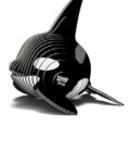 ugy ballena orca dodoland saltimbanquikids